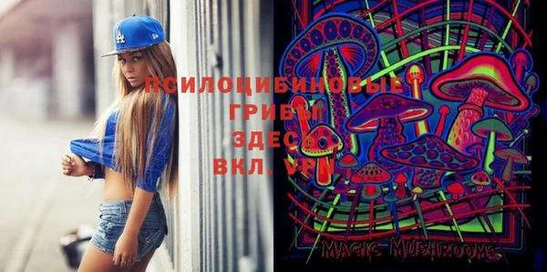трава Касимов