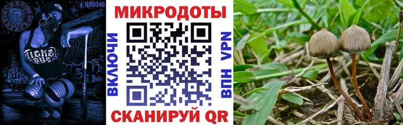 Псилоцибиновые грибы ЛСД  Купить  Пойковский 